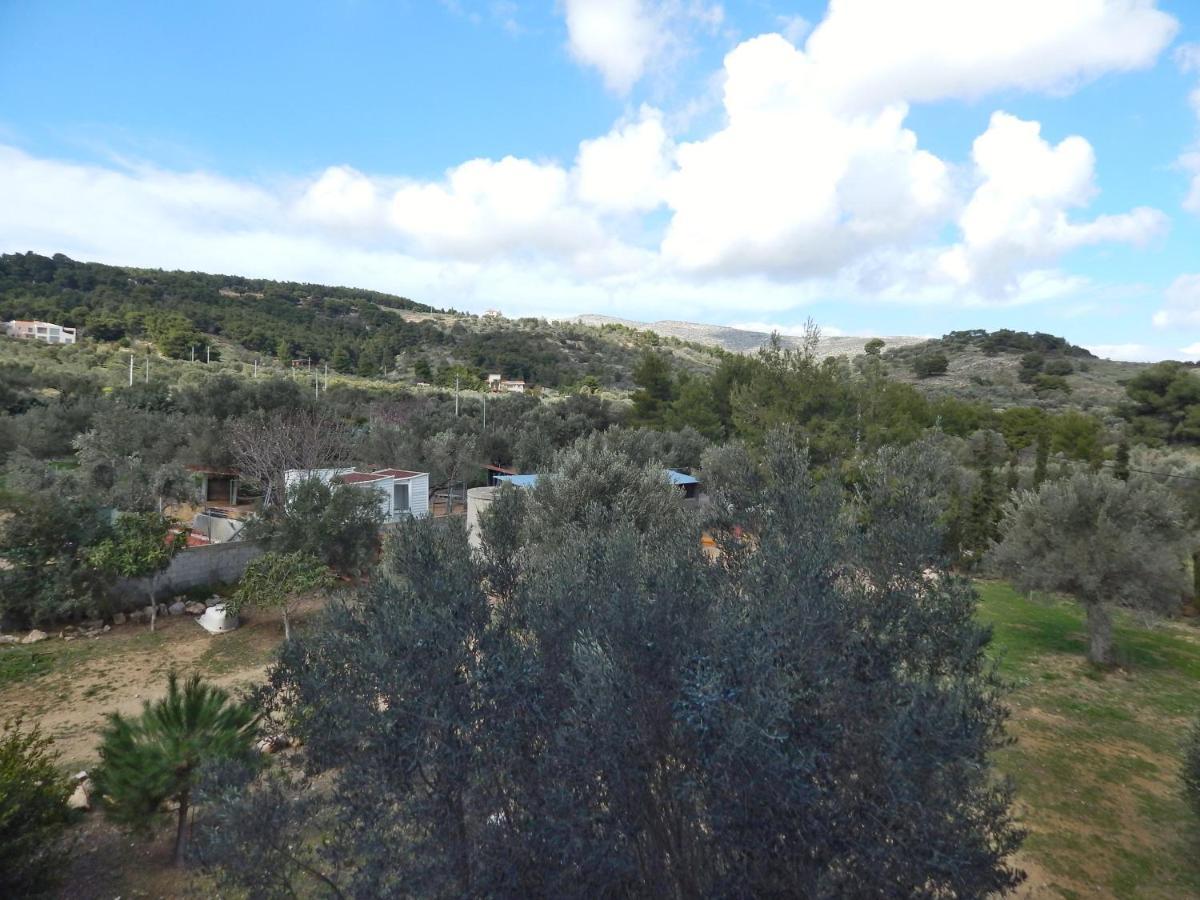 Οδυσσεια, Κοντά Σε Αεροδρόμιο, Λιμάνια Και Θάλασσες Apartment Keratea ภายนอก รูปภาพ