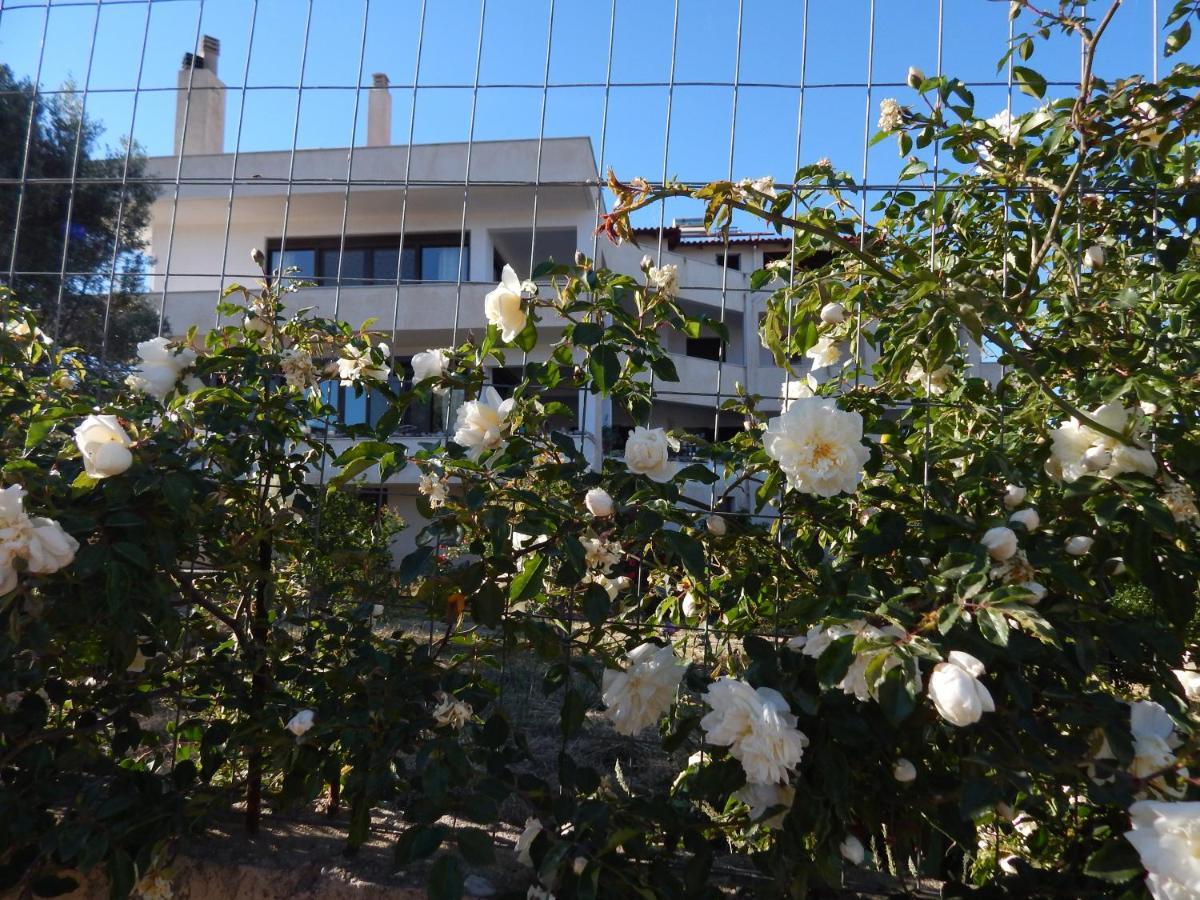 Οδυσσεια, Κοντά Σε Αεροδρόμιο, Λιμάνια Και Θάλασσες Apartment Keratea ภายนอก รูปภาพ