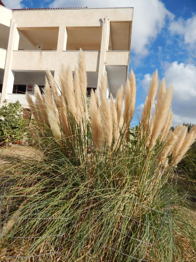 Οδυσσεια, Κοντά Σε Αεροδρόμιο, Λιμάνια Και Θάλασσες Apartment Keratea ภายนอก รูปภาพ