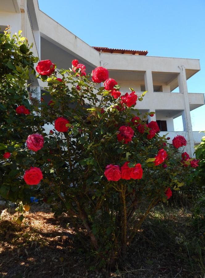 Οδυσσεια, Κοντά Σε Αεροδρόμιο, Λιμάνια Και Θάλασσες Apartment Keratea ภายนอก รูปภาพ