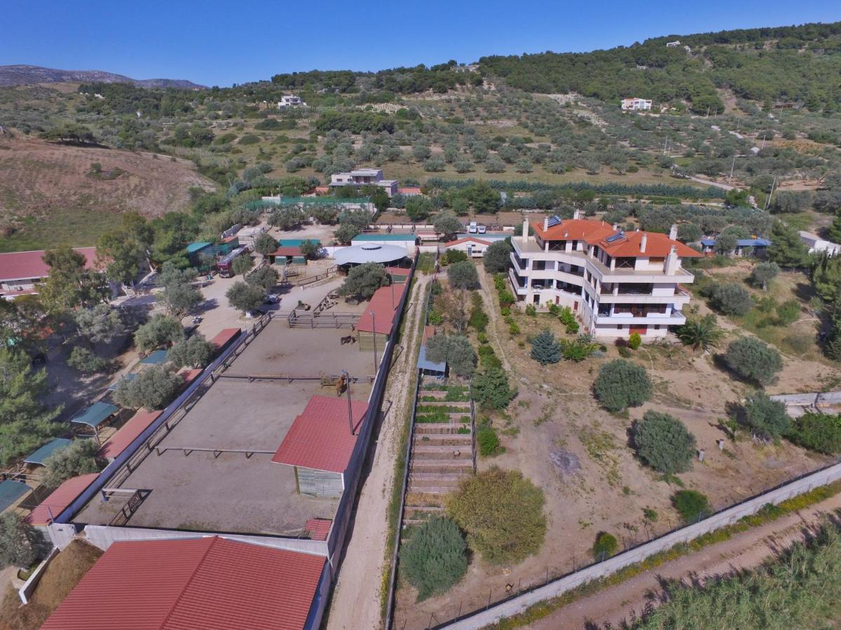 Οδυσσεια, Κοντά Σε Αεροδρόμιο, Λιμάνια Και Θάλασσες Apartment Keratea ภายนอก รูปภาพ