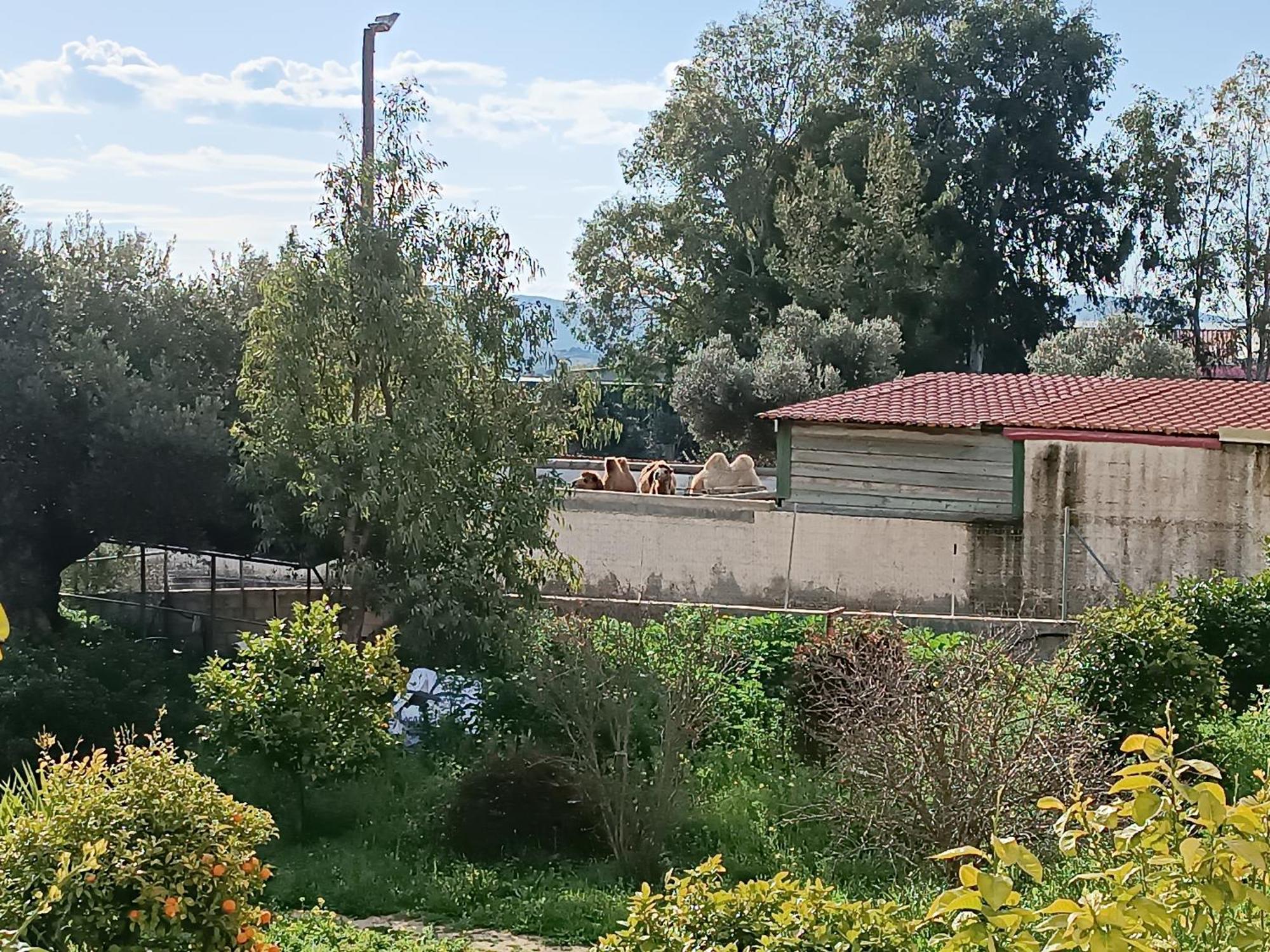 Οδυσσεια, Κοντά Σε Αεροδρόμιο, Λιμάνια Και Θάλασσες Apartment Keratea ภายนอก รูปภาพ
